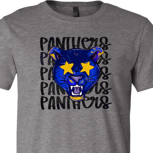 Adult & Youth Preppy Panthers Spirit T-Shirt