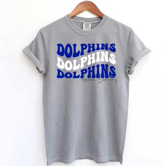 Adult & Youth Dolphins AES Spirit T-Shirt