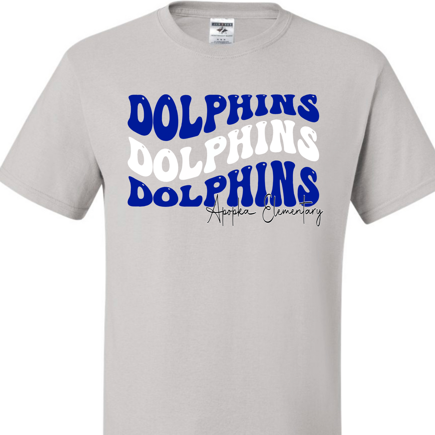 Adult & Youth Dolphins AES Spirit T-Shirt